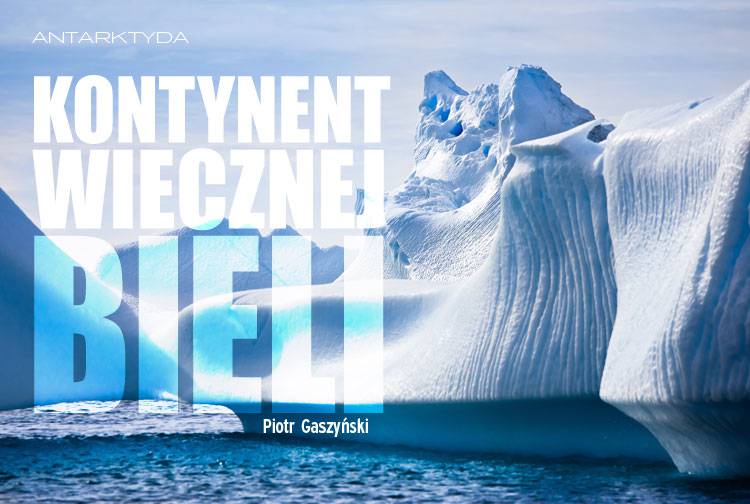 Losowy darmowy artykuł